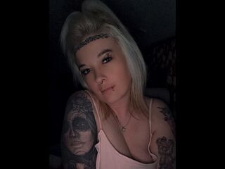 StellaVirg