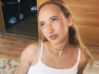 camporn VeniceMidden