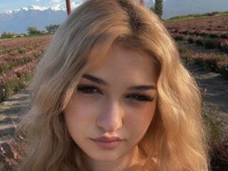 cambitch CloudyFox